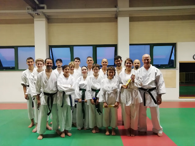 atleti adulti del karate kyu di vittorio veneto